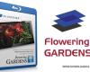 دانلود مستند BluScenes: Flowering Gardens 2012
