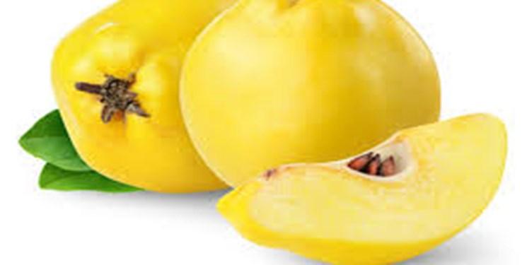 قوی شدن سیستم ایمنی بدن با خوردن میوه به