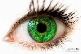 عاشق يه دختر چشم سبز شدم