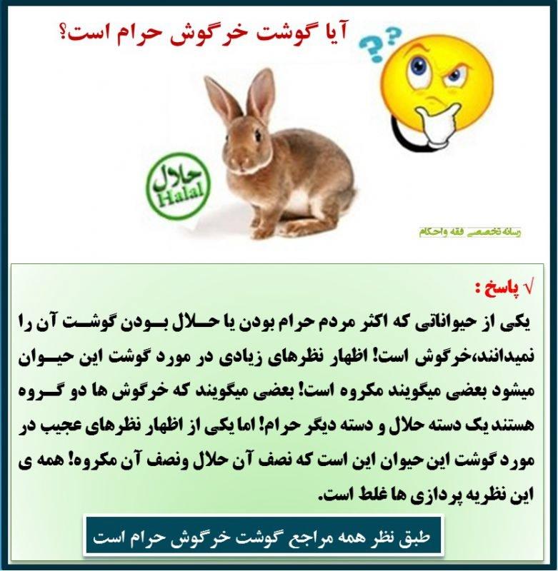 آیا خوردن گوشت خرگوش حرام است؟