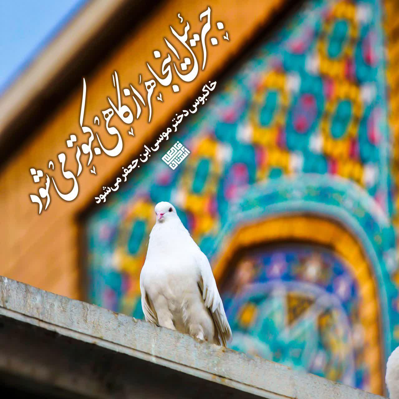  حضرت معصومه