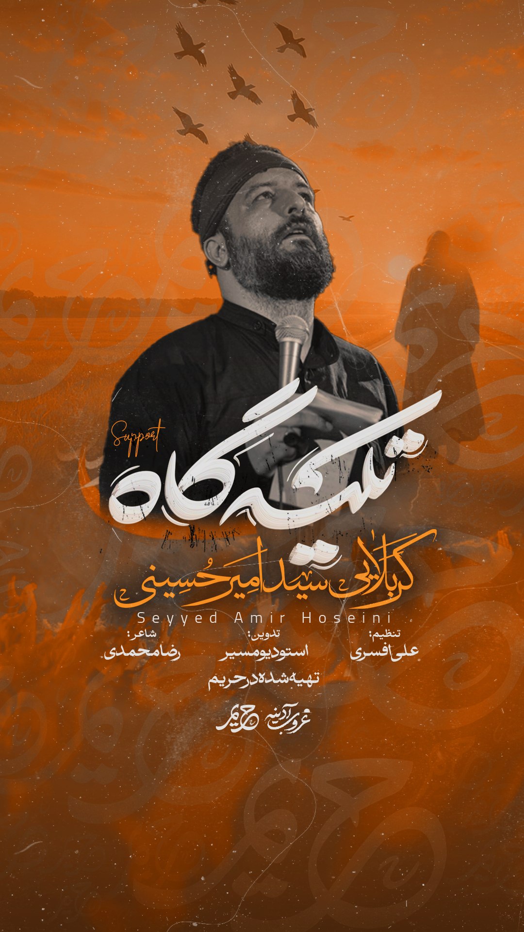 نماهنگ تکیه گاه سید امیر حسینی