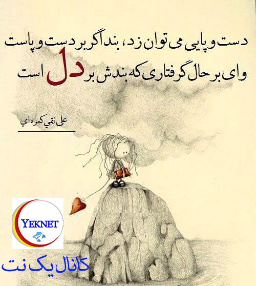 عکس جالب