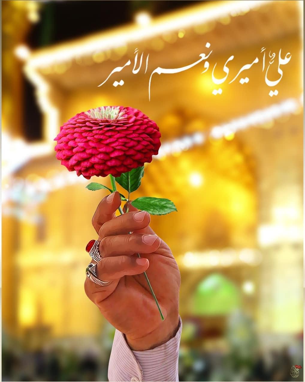 عکس پروفایل امام علی