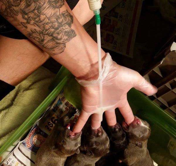 با مزه ترين عكس هاي سال 1392