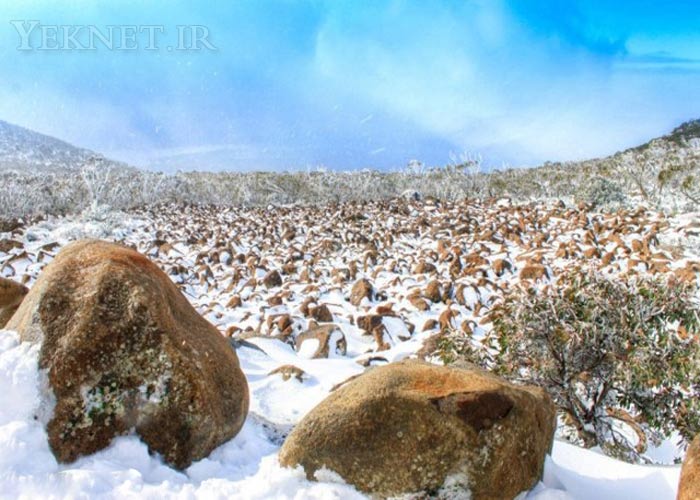 عكس هايي از طبيعت استراليا - عكس برف - برف در استراليا