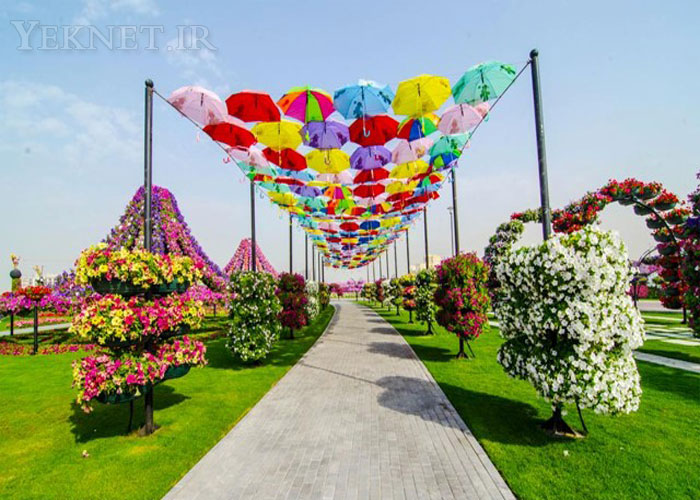 عكس هايي زيبا از باغ معجزه در دبي