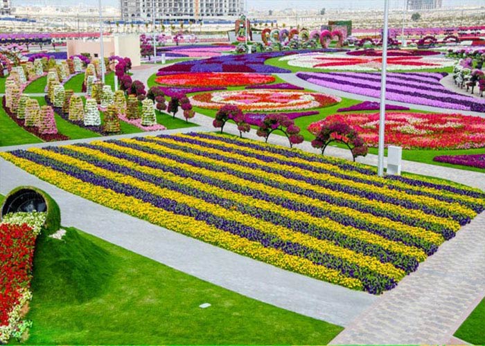 عكس هايي زيبا از باغ معجزه در دبي