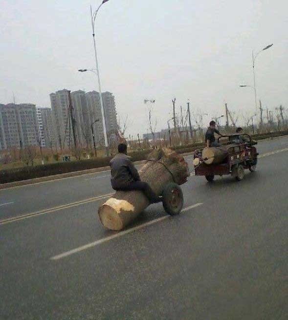 تنها در آسيا #تصاوير