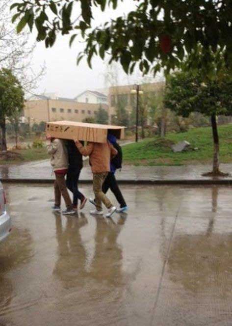 تنها در آسيا #تصاوير