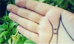 اعضای بدن این افراد مشهور اهدا میشود (تصاویر)