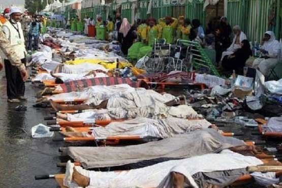 حجاج ایرانی 3 درصد، کشته‌های ایرانی 20 درصد (عکس)