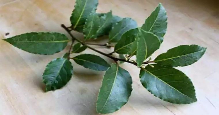 خانواده شوهرم بدجوری آزارم می دهند