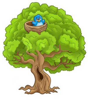 داستان پرنده کوچولویی در جنگل