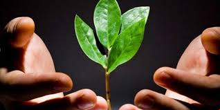 چه کارهایی روزی را زیاد میکند؟