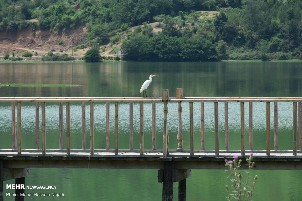 طبیعت آستارا