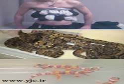 عجیبترین راههای قاچاق حیوانات +عکس
