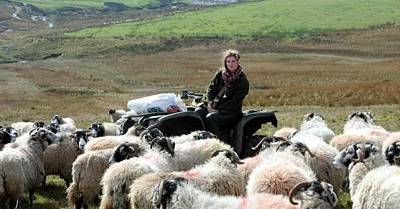 زندگی زن چوپان با 1000 گوسفند /تصاوير
