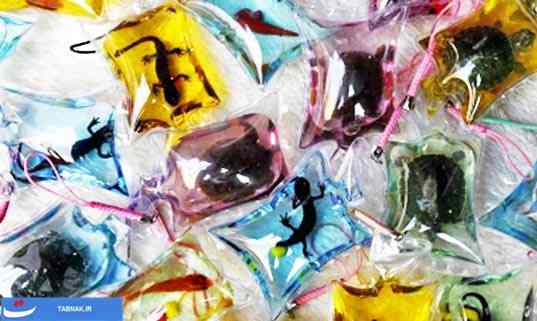 فروش حیوانات زنده بعنوان جا کلیدی +عکس