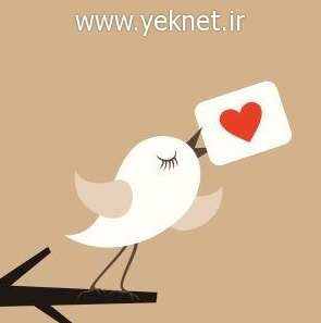 با این 7 نکته سحر آمیز دل همسرتان را بدست بیاورید