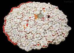 هنرنمایی جالب با قبض ها +عکس