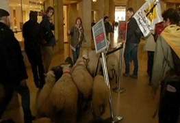 گوسفند چرانی در موزه +عکس