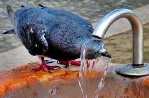 پاداش روزهداری در شدت گرما