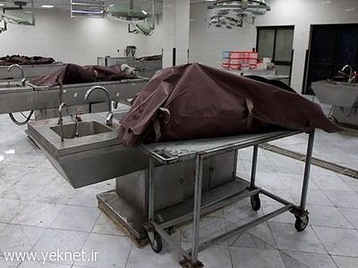 تصاوير/ جانباختگان حادثه هواپیمایی در اتاق تشریح