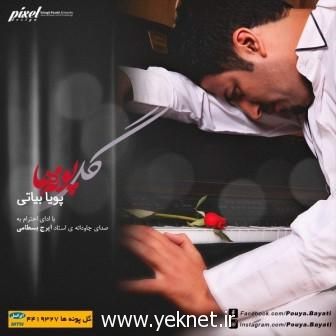 آهنگ جدید پویا بیاتی به نام گل پونه ها +دانلود