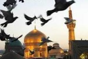 بيماري آلماني توسط امام رضا ع شفا پيدا كرد