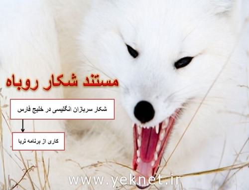 دانلود رايگان مستند شکار روباه
