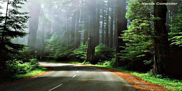 اگر پدري اجازه ندهد دختر با پسر مورد علاقه اش ازدواج كند گناه كرده است؟