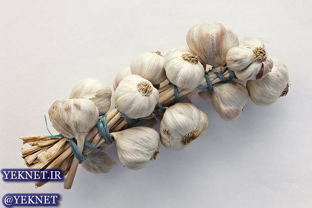 مادران شیرده سیر خام بخورند 