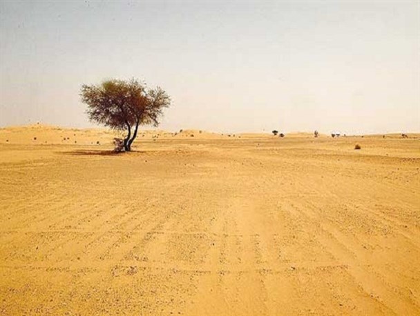 با پسری در دانشگاه دوست شدم که مشروب میخورد