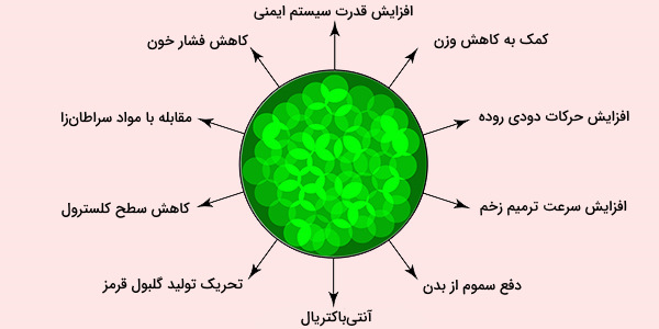 چگونه می توان کلروفیل برگ را خارج کرد