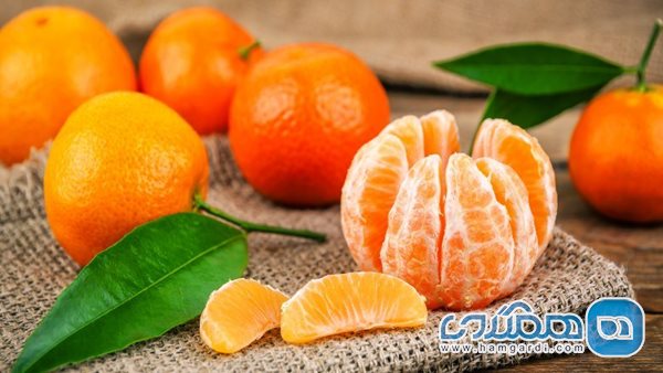 خواص میوه ی نارنجی پاییزی