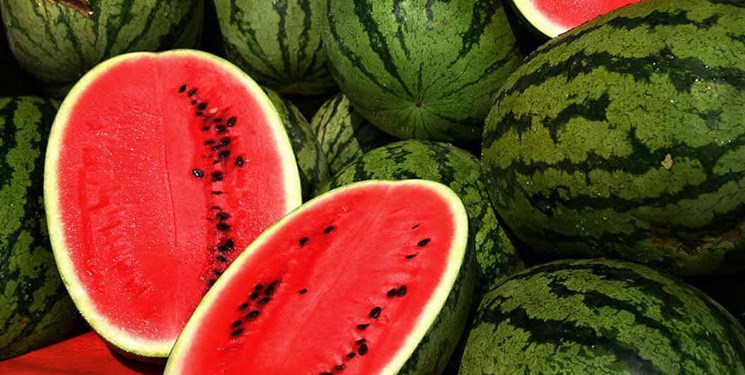 برگشت خوردن ۲۰۰ واگن هندوانه صادراتی به ترکیه