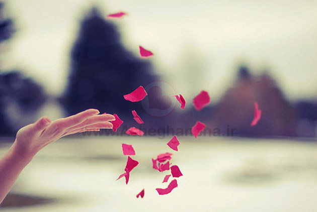 به تازگی عاشق شدم