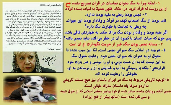 آیا سگ نجس است؟