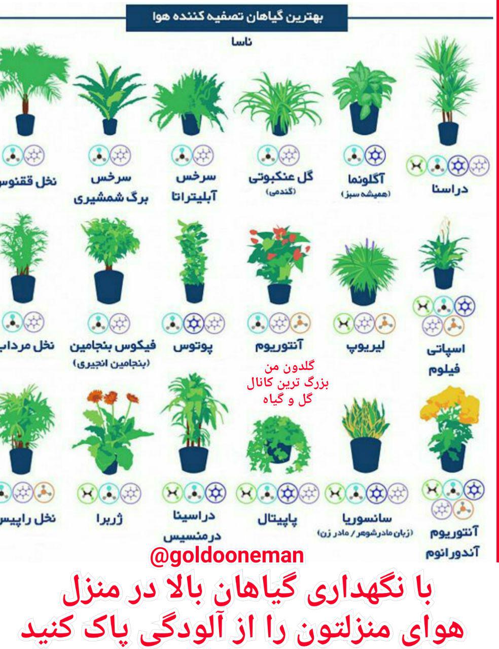 چگونه هوای منزل را از آلودگی پاک کنیم