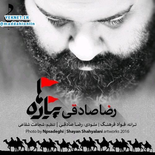 دانلود آهنگ جدید رضا صادقی پیاده ها ویژه اربعین حسینی