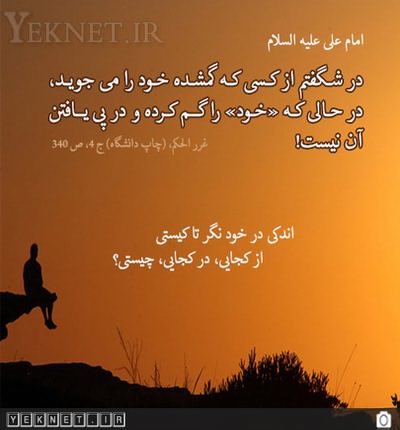 در شگفتم از كسى كه گمشده خود را مى جويد /عكس