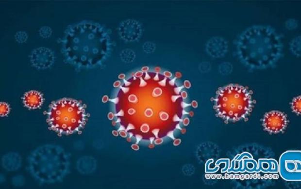 با رعایت این 4 اصول کرونا به شما نزدیک نمی شود