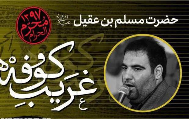 بر پشت دستم میزدم دیدی چه کردم    هر کس بیاید مادر اصغر نیاید   امیر کرمانشاهی