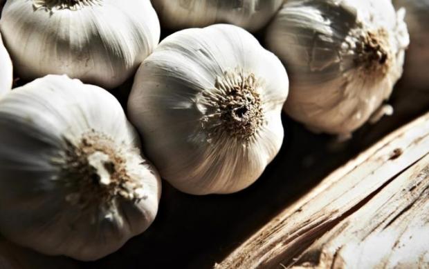 از بین بردن بوی سیر از دهان