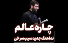 نماهنگ چاره عالم