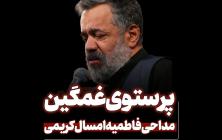 پرستوی غمگین کبوتر زخمی