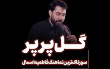 نماهنگ گل پرپر امین قدیم