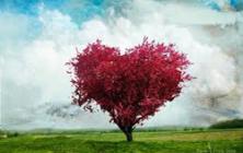 30 ساله ام قصد ازدواج دارم ولي قسمت نمي شود