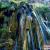 آبشار دیدنی مارگون در سپیدان +تصاویر 